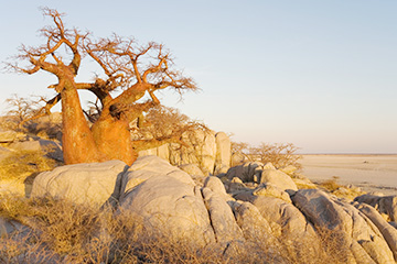 博茨瓦納杭濟(jì)三字代碼(GNZ),杭濟(jì)(Ghanzi)四字碼,博茨瓦納機(jī)場三字碼查詢